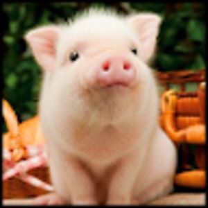 Meet your Posher, Avery